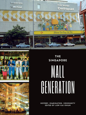 cover image of The Singapore Mall Generation